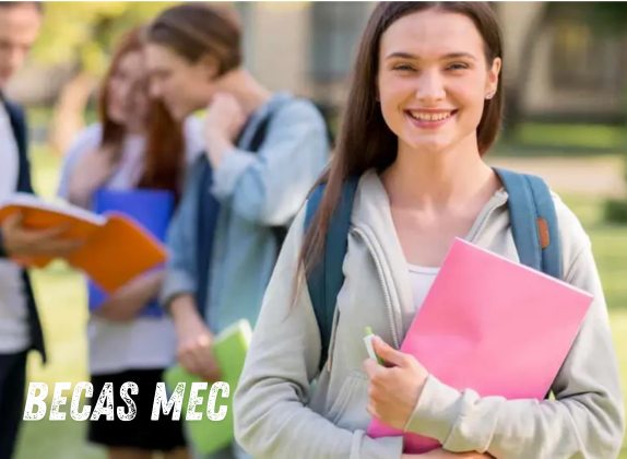 requisitos económicos becas mec